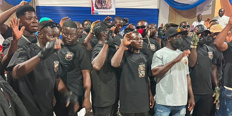 Upper East NDC Youth calls for probe into alleged formation of NPP-linked 'The Lions' group